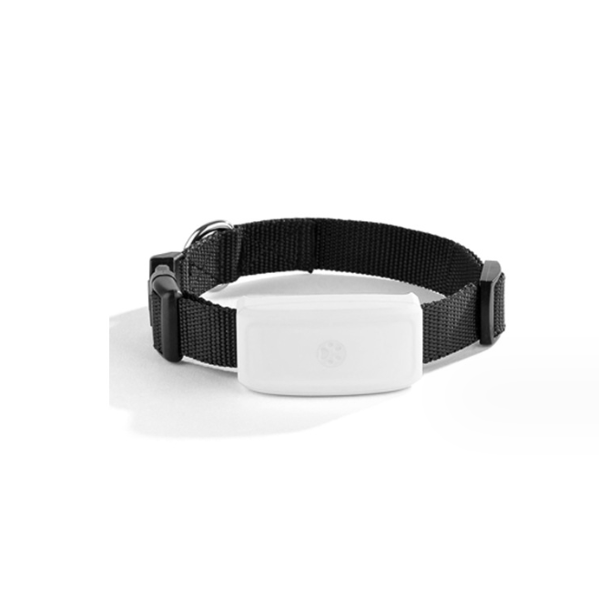 Pet collar